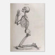 Load image into Gallery viewer, 08b37797-c6fa-47bd-b07a-42c012adc260