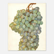 Load image into Gallery viewer, 143e8fd4-760d-429a-9d80-1bc98d73397b