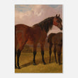 Load image into Gallery viewer, 3ff9125a-e15a-4905-96db-5b041df5eece