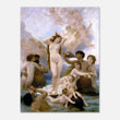 Load image into Gallery viewer, 4646aa87-6324-4d25-9e76-90bb50bc3d74