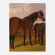 Load image into Gallery viewer, 56ea5497-c529-4484-aacb-799c483a77ff