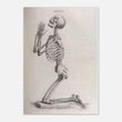 Load image into Gallery viewer, 56fb2f79-1d50-4a54-9809-97626d065d69