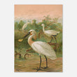 Load image into Gallery viewer, 65a7cddc-33a5-48f5-a671-f05b2a013fa2