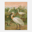 Load image into Gallery viewer, 79ad99f1-d5c5-416f-82cf-cd72858f3fa0