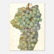 Load image into Gallery viewer, 899f39a9-a9ef-492a-900e-6a3d86ca04c3