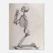 Load image into Gallery viewer, 8d7418c8-82c2-4127-829a-c6dff5768408