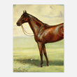 Load image into Gallery viewer, 8f350cbd-66ce-4b92-92d6-05ec332de7c8