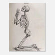 Load image into Gallery viewer, 958e6fac-200e-4c7a-b25e-bdc966a90465