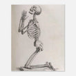 Load image into Gallery viewer, 9679c6e4-7ed7-4703-ac5b-24ff172564cd
