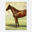Load image into Gallery viewer, 9f46cd40-0357-4851-984c-71ad0a67e2a1