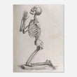Load image into Gallery viewer, 9fb585ff-f39a-49ee-b120-dbeae434c059