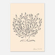 Load image into Gallery viewer, aa272fea-3640-4f97-8e81-54f22ce19759