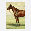 Load image into Gallery viewer, b72109e5-8ca6-45b8-a176-9db4e4aef538