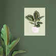 Load image into Gallery viewer, db69bd40-6fe2-4a31-9107-cc1ef479d445