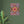 Load image into Gallery viewer, 107a0a98-854c-46fd-aee5-dea7b5aba2ab
