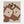 Load image into Gallery viewer, 351375c1-139a-4944-b874-01d8cf06c188
