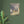 Load image into Gallery viewer, 410b3a6a-1a37-44fc-ad30-e0012d4afbb4
