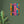 Load image into Gallery viewer, 4ddf1433-62bc-4c56-b4ad-e3401d5267bc
