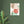 Load image into Gallery viewer, 5174f4f1-0abe-47ae-813d-e20f57ddc08f
