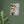 Load image into Gallery viewer, 55ad3266-13f7-4b0e-86d9-66c86df3437a
