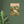 Load image into Gallery viewer, 61b2d000-81de-4ae0-bc30-49429af28364
