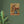 Load image into Gallery viewer, 8112c22c-ad77-4dd5-b5ae-12cda85b7049
