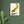 Load image into Gallery viewer, 8a7b05a0-4e2c-4c2b-a5d5-13e830a8afff
