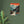 Load image into Gallery viewer, 94488bb9-c200-44a6-b6c1-9ea1dd78d03e
