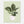 Load image into Gallery viewer, 9bae16f9-c5be-4044-bc16-aa5d9b1c9c31
