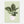 Load image into Gallery viewer, 9e92ac8d-782d-429a-896a-358430b27252
