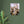 Load image into Gallery viewer, bf7d7880-9689-435c-9d74-80c8d28294a8
