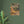 Load image into Gallery viewer, c6ad83a0-4b1a-4f84-b944-98157ed13d4f
