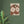 Load image into Gallery viewer, c7608809-5281-4013-8971-6b44d974fa5a
