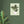 Load image into Gallery viewer, db69bd40-6fe2-4a31-9107-cc1ef479d445
