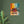 Load image into Gallery viewer, dc927e7b-79df-4c45-bdc3-7b0d932551b7
