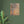 Load image into Gallery viewer, f00d87da-f3bb-47dd-9f38-0cd1f1d0f200

