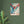 Load image into Gallery viewer, f61c0c26-0930-49e8-988f-688c0047e103
